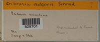 Image Associated With the Occurence